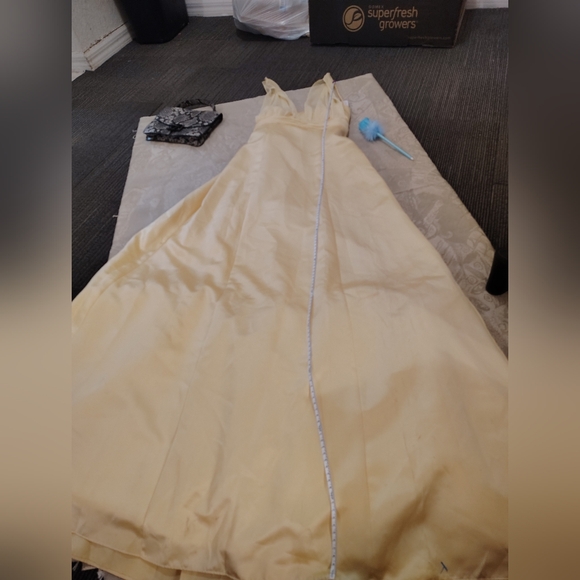 David's Bridal Soft Yellow Dress - Picture 2 of 7